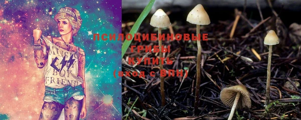 молекула духа Зеленодольск