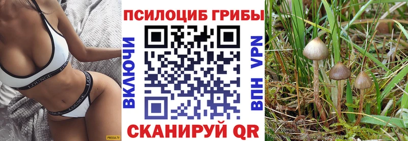 Купить закладки  Кинешма  Псилоцибиновые грибы Cubensis 